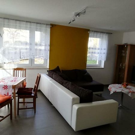 Ferienwohnung, Monteurwohnung Grossrohrsdorf Esterno foto